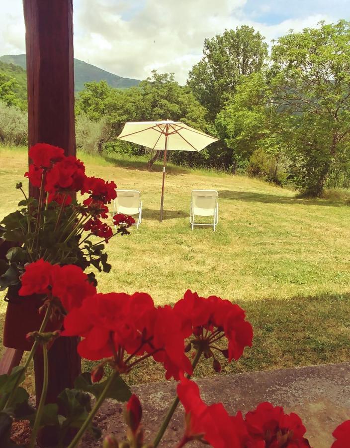 Agriturismo Botro Pulicciano Esterno foto